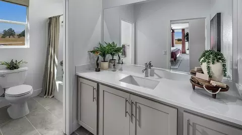 Bath - 4742 Bald Eagle Ct, Lathrop, CA 95330 photo 3 of 3