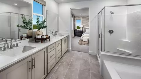 Bath - 4742 Bald Eagle Ct, Lathrop, CA 95330 photo 1 of 3