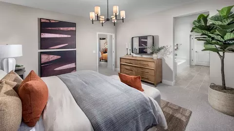 Bedroom - 4742 Bald Eagle Ct, Lathrop, CA 95330 photo 2 of 4