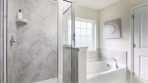 Bath - 302 Little Brook Ln, Moncks Corner, SC 29461 photo 2 of 4