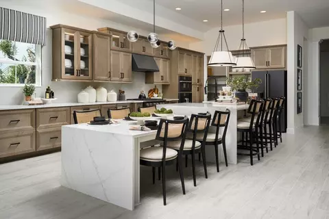 Kitchen - 10735 Spring Sapling Cir, Parrish, FL 34219 photo 1 of 2