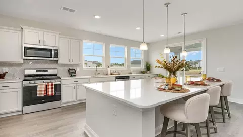 Kitchen - 228 Blueberry Fields Ct, Longs, SC 29568 photo 1 of 3