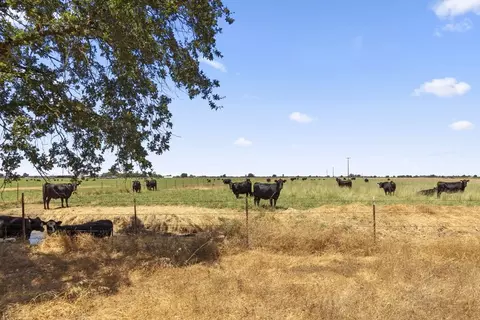 Other - 843 Pecan Tree Ln, Galt, CA 95632 photo 14 of 15