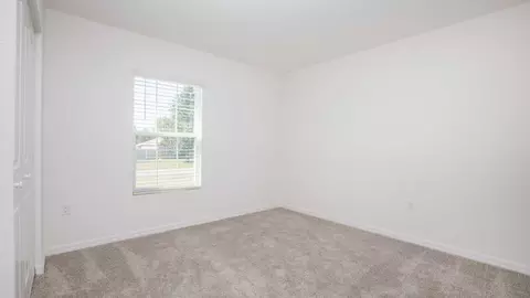 Bedroom - 14055 Spring Hill Dr, Spring Hill, FL 34609 photo 10 of 15