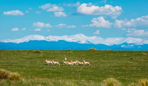 Other - 1077 E Witherspoon Dr, Elizabeth, CO 80107 photo 10 of 12