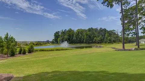 Other - 181 Ruby Prince Rd, Gilbert, SC 29054 photo 14 of 14