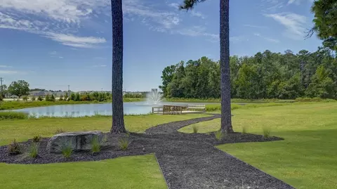 View/Area - 181 Ruby Prince Rd, Gilbert, SC 29054 photo 7 of 7