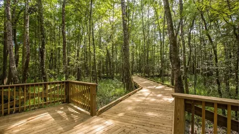 View/Area - 57 Smokerise Dr, Saint Augustine, FL 32092 photo 8 of 16