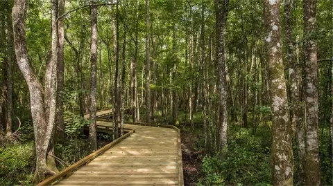 View/Area - 57 Smokerise Dr, Saint Augustine, FL 32092 photo 6 of 16