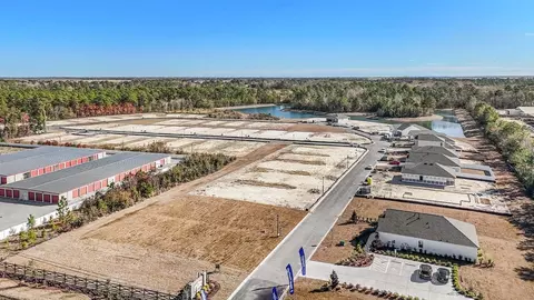 View/Area - 3017 Waterfall Way, Georgetown, SC 29440 photo 1 of 10