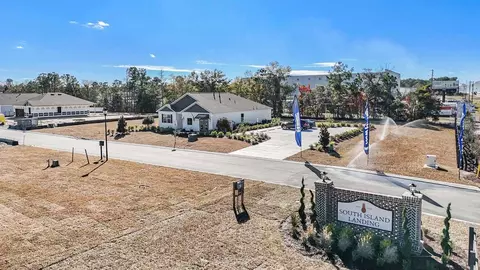 View/Area - 3017 Waterfall Way, Georgetown, SC 29440 photo 8 of 10