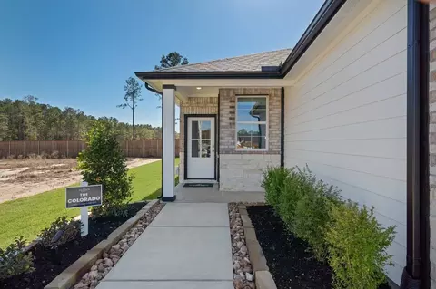 Other - 18748 Barichello Dr, Conroe, TX 77306 photo 2 of 5