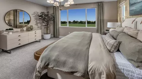 Bedroom - 800 Paitakis Ln, Ripon, CA 95366 photo 2 of 5