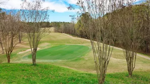Other - 705 Spruce Cir, Calera, AL 35040 photo 6 of 6