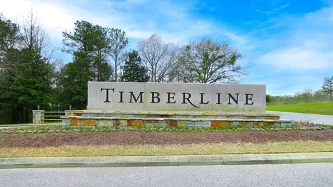 View/Area - 705 Spruce Cir, Calera, AL 35040 photo 1 of 3