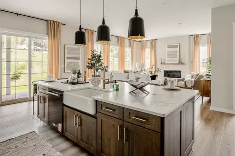 Kitchen - Orange Tree Lane, Westminster, MD 21157 photo 63 of 84