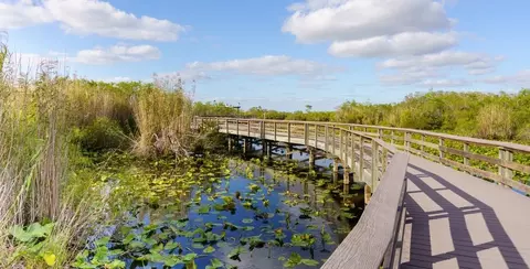 Other - SW 280th St & 157th Ave, Miami, FL 33032 photo 4 of 6