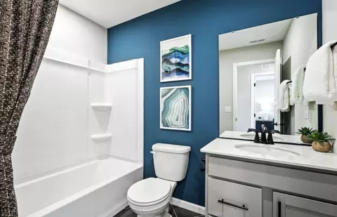 Bath - 5852 Hawkweed Dr, Naperville, IL 60564 photo 2 of 3