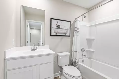 Bath - 2700 Vista Ln, Plainfield, IL 60586 photo 3 of 4