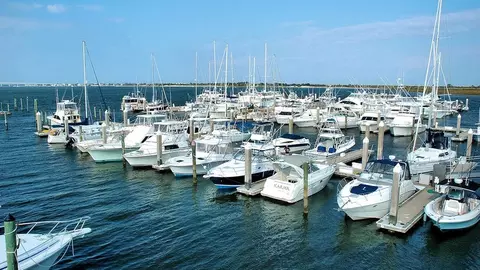 View/Area - 253 Ayamonte Rd, Saint Augustine, FL 32084 photo 6 of 6