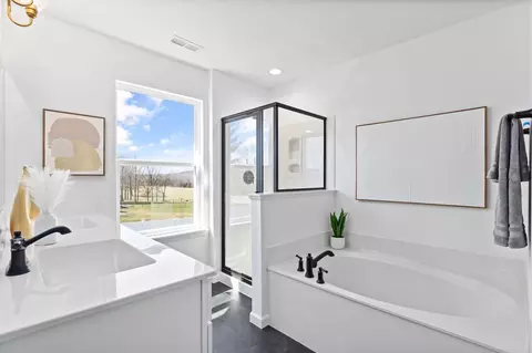 Bath - 986 Grandview Ln, Pacific, MO 63069 photo 1 of 18