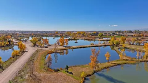 View/Area - 6099 Holstein Dr, Windsor, CO 80528 photo 5 of 15