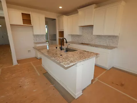 32123 Morning Luster Ct, Fulshear, TX 77441
