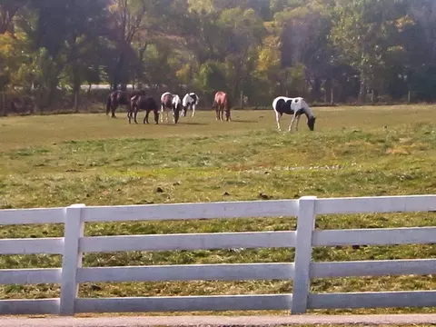 Other - Cauthen Ct, Union, KY 41091 photo 8 of 12