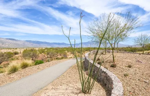 View/Area - 13340 E Red Juniper Way, Tucson, AZ 85747 photo 25 of 33