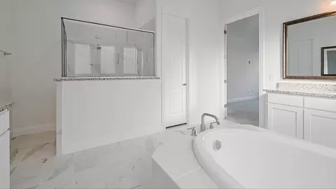 Bath - 305 Box Elder Ct, Waller, TX 77484 photo 3 of 8