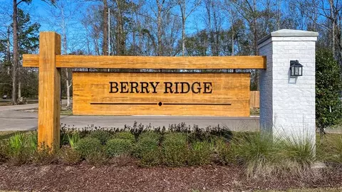 View/Area - 24787 Berry Ridge Ln, Springfield, LA 70462 photo 1 of 2
