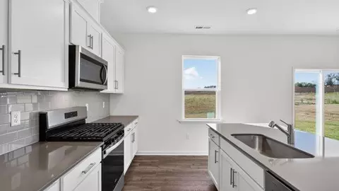Kitchen - 836 Comice Pear Way, Willow Spring, NC 27592 photo 2 of 7