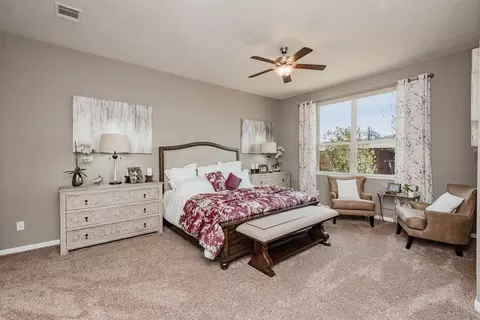 Bedroom - 1020 Trellis Pass, Brenham, TX 77833 photo 3 of 3