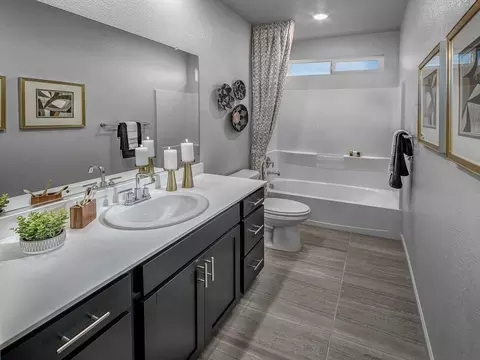 Bath - 1684 Eagle River Ave, Manteca, CA 95337 photo 1 of 5