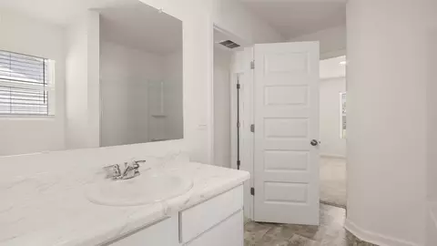 Bath - 8 Hampton Locust Grove Road, Hampton, GA 30228 photo 3 of 4