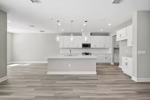 Other - 14238 Sawmill St, Parrish, FL 34219 photo 2 of 13