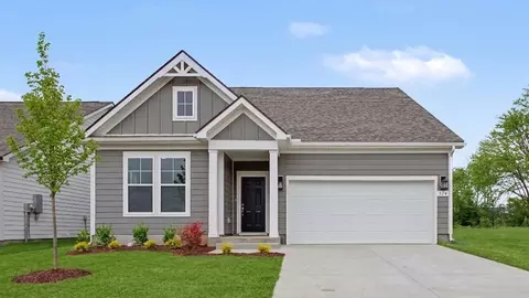 317 Black Bear Dr, Mount Pleasant, TN 38474
