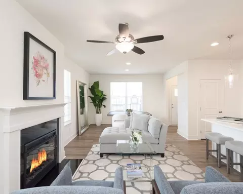 Other - 263 Barracks Way, Hoschton, GA 30548 photo 1 of 13