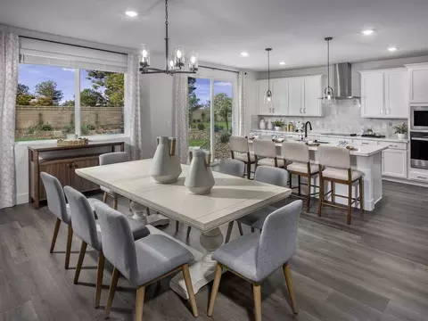 1412 Speckled Dace Way, Sacramento, CA 95832