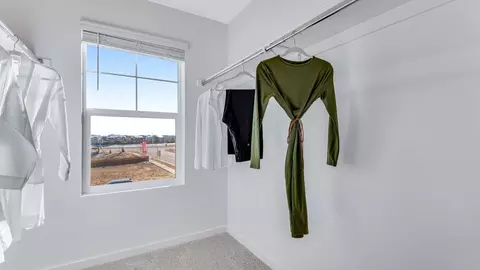 Other - 801 Trumpet Ln, Windsor, CO 80550 photo 4 of 7