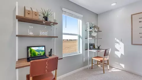 Other - 801 Trumpet Ln, Windsor, CO 80550 photo 3 of 7