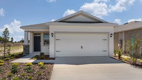 3181 Canopy Oak Blvd, Wildwood, FL 34785