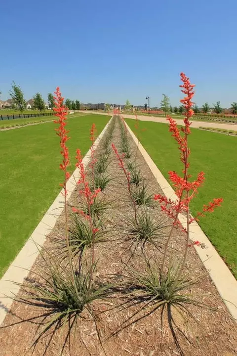View/Area - 2416 Liberty Ct, Celina, TX 75009 photo 19 of 33