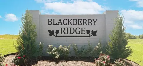 Other - Blackberry Ridge Dr., Mcloud, OK 74851 photo 2 of 4