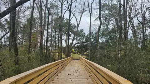 Other - Ferdinand Ave, Fairhope, AL 36532 photo 12 of 12