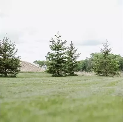 Exterior - 23129 Hazel Ln, Rogers, MN 55374 photo 4 of 5