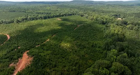View/Area - 5 Mitchell Rd, Fortson, GA 31808 photo 13 of 20