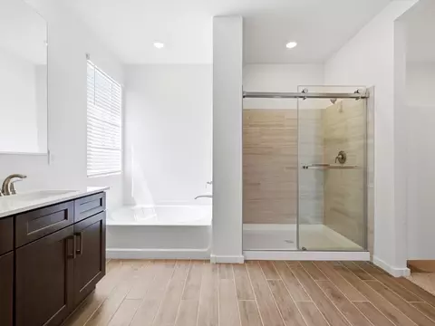 Bath - 10013 S Gidiyup Trl, Apache Junction, AZ 85120 photo 1 of 6