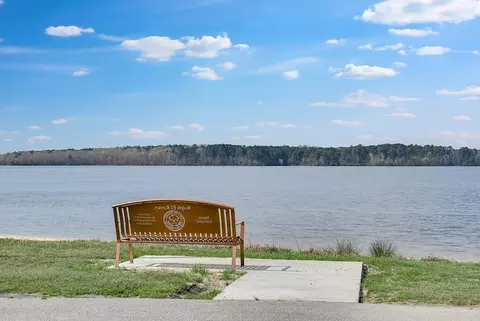 View/Area - 5804 Mill Stone Way, Sims, NC 27880 photo 3 of 3