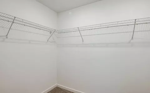 Other - 13716 Sunlight Meadow Dr, Riverview, FL 33578 photo 5 of 12